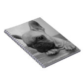Frenchie puppy notizblock (Rechte Seite)