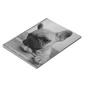 Frenchie puppy notizblock (Linke Seite)