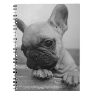 Frenchie puppy notizblock