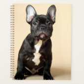 Frenchie Puppy Planer (Vorderseite)