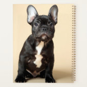 Frenchie Puppy Planer (Rückseite)