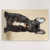 Frenchie Puppy Puzzle (Horizontal)