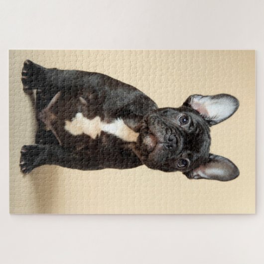 Frenchie Puppy Puzzle (Horizontal)