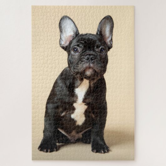 Frenchie Puppy Puzzle (Vertikal)
