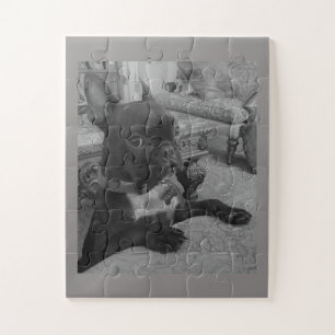 Frenchie-Puzzle Puzzle