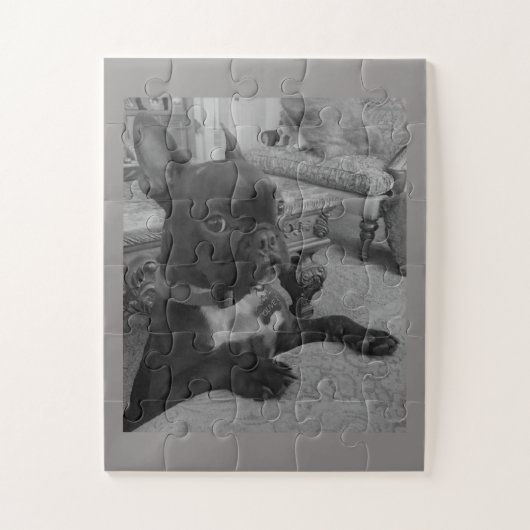 Frenchie-Puzzle Puzzle (Vertikal)