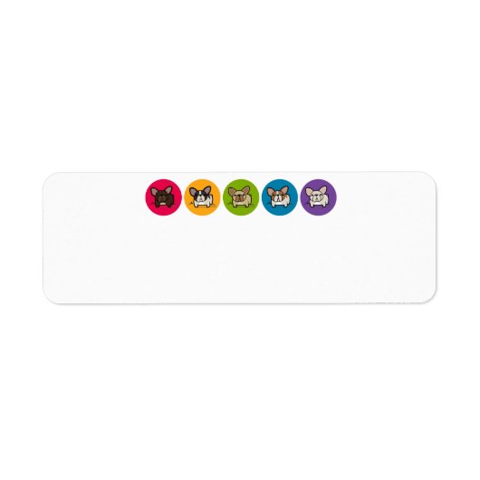 Frenchie Rainbow (Vorne)
