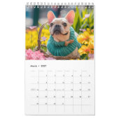 Frenchie Strick-Saisons - Cozy-Hundekalender Kalender (Mär 2027)