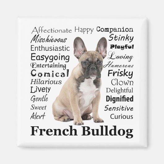Frenchie Traits Magnet (Vorne)