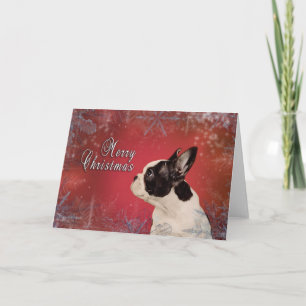 Frenchie Weihnachtskarte Feiertagskarte
