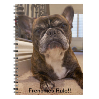 Frenchies-Regel!! Notizblock