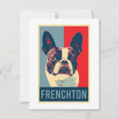 Frenchton Dog (Vorderseite)