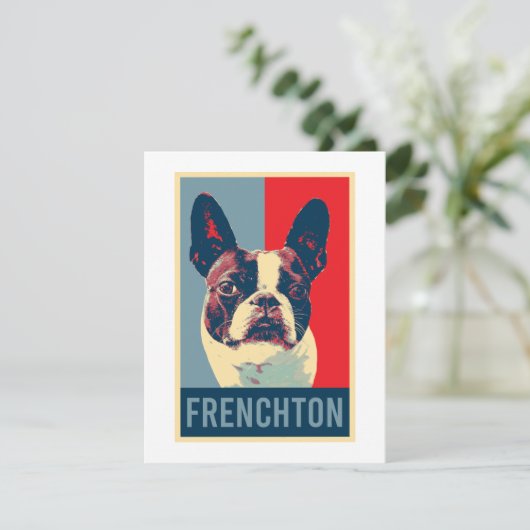 Frenchton Dog (Stehend Vorderseite)