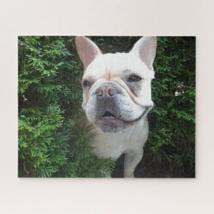 Frenchy auf Streife Puzzle