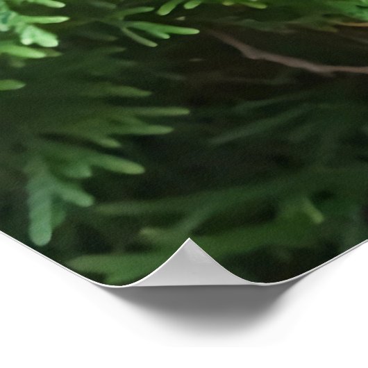 Frenchy on Patrol Poster (Ecke)