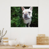 Frenchy on Patrol Poster (Küche)