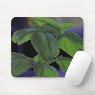 Fresh Basil Closeup Mousepad