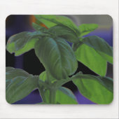 Fresh Basil Closeup Mousepad (Vorne)