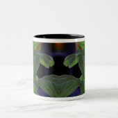 Fresh Basil Closeup Zweifarbige Tasse (Mittel)