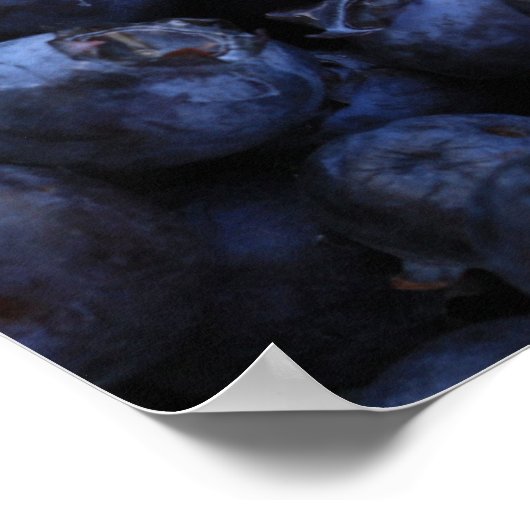 Fresh Blueberries Poster (Ecke)