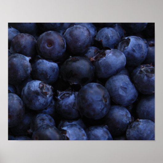 Fresh Blueberries Poster (Vorne)