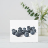 Fresh Blueberries Postkarte (Stehend Vorderseite)