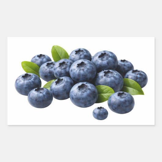 Fresh Blueberries with Leaves Sticker (Vorderseite)