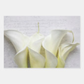 Fresh calla lis geschenkpapier set (Vorderseite 3)
