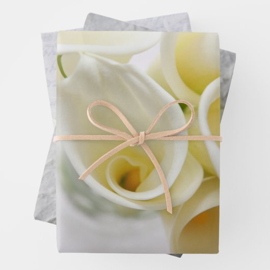 Fresh calla lis geschenkpapier set (Beispiel)