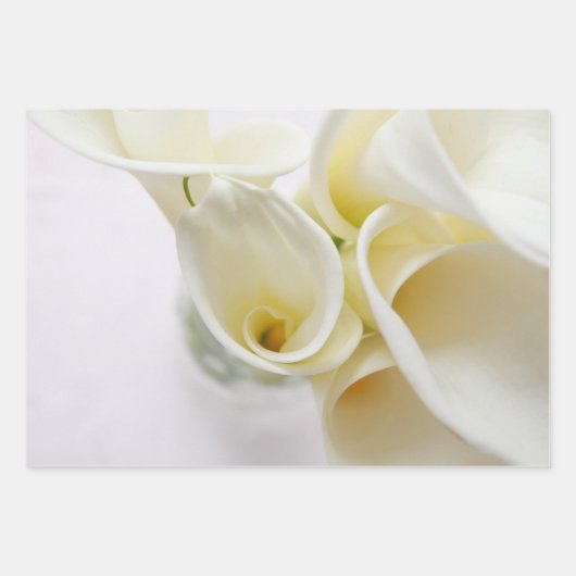 Fresh calla lis geschenkpapier set (Vorderseite)