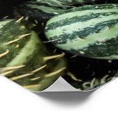 Fresh Ccamelon Poster (Ecke)