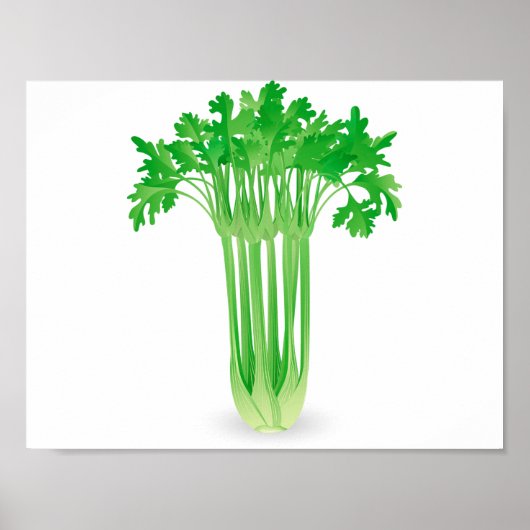 Fresh Celery Poster (Vorne)