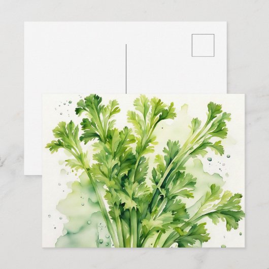 Fresh Celery Postkarte (Vorne/Hinten)