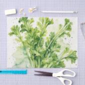 Fresh Celery Seidenpapier (Handwerk)