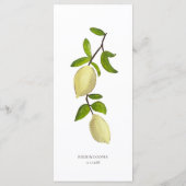Fresh Citrus Painted Lemons Modern Mediterranean Menükarte (Rückseite)