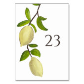 Fresh Citrus Painted Lemons Modern Mediterranean Tischnummer (Vorderseite)