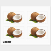 Fresh Coconut With Half Cut Slice Sticker (Blatt)