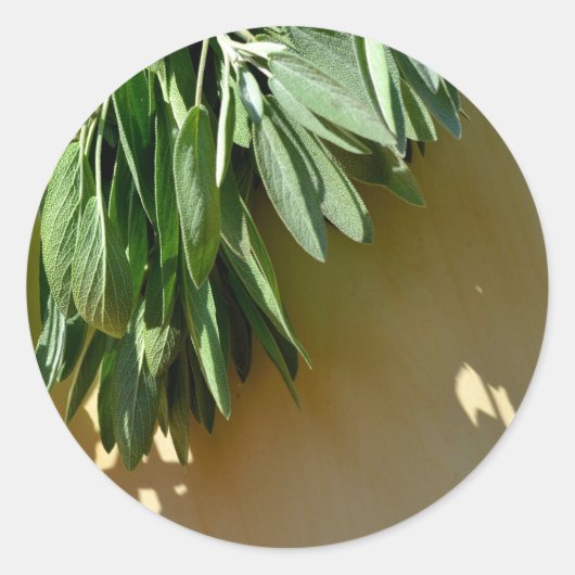 Fresh-cut Sage Runder Aufkleber (Vorderseite)
