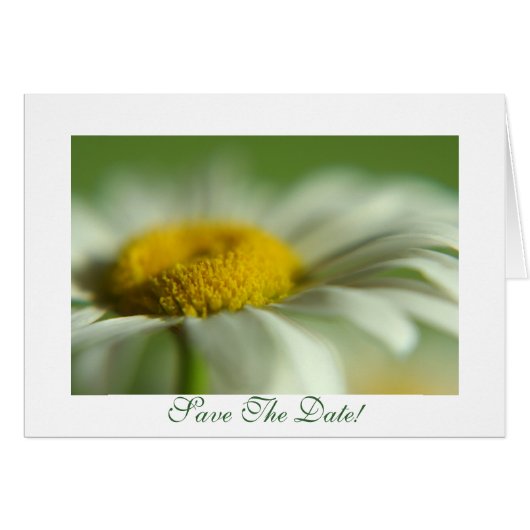 Fresh Daisy (Vorderseite (Horizontal))