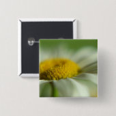Fresh Daisy Button (Vorne & Hinten)