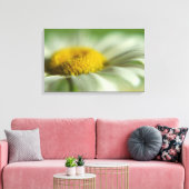 Fresh Daisy Leinwanddruck (Insitu (Wohnzimmer))