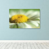Fresh Daisy Leinwanddruck (Insitu (Holzboden))