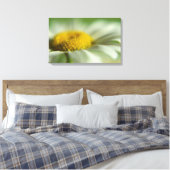 Fresh Daisy Leinwanddruck (Insitu (Schlafzimmer))