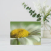 Fresh Daisy Postkarte (Stehend Vorderseite)