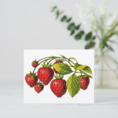 Fresh Erdbeeren Postkarte (Stehend Vorderseite)