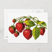 Fresh Erdbeeren Postkarte (Vorne/Hinten)