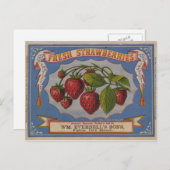 Fresh Erdbeeren Postkarte (Vorne/Hinten)