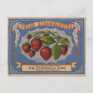 Fresh Erdbeeren Postkarte