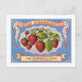 Fresh Erdbeeren Postkarte (Vorderseite)