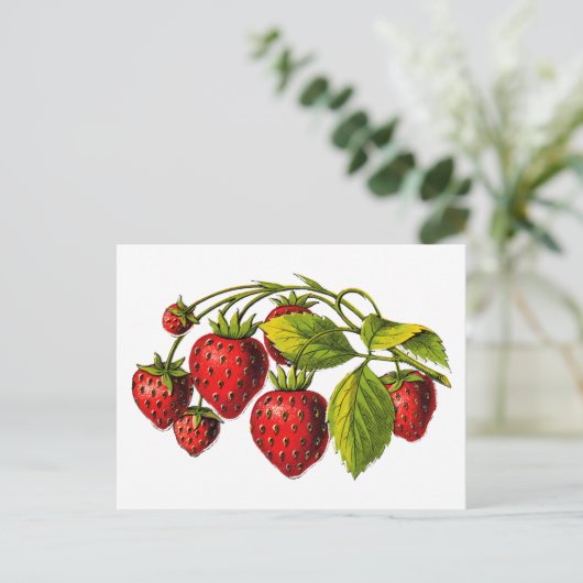 Fresh Erdbeeren Postkarte (Stehend Vorderseite)